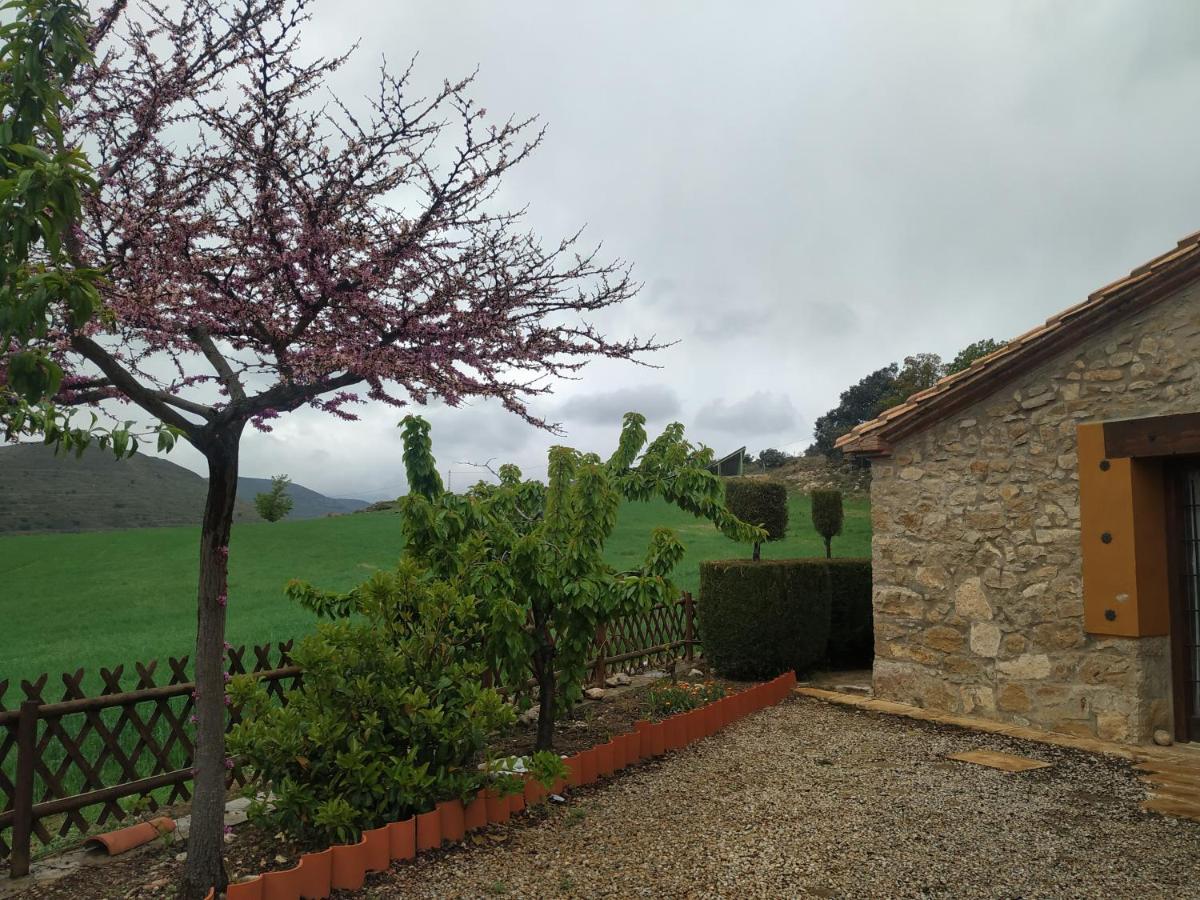 La Casa Del Llano Konuk evi Olocau del Rey Dış mekan fotoğraf
